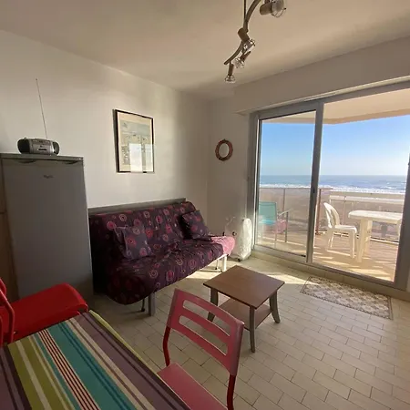 2 Pieces, Terrasse Face Mer, Parking - Fr-1-750-91 Apartment Canet-en-Roussillon